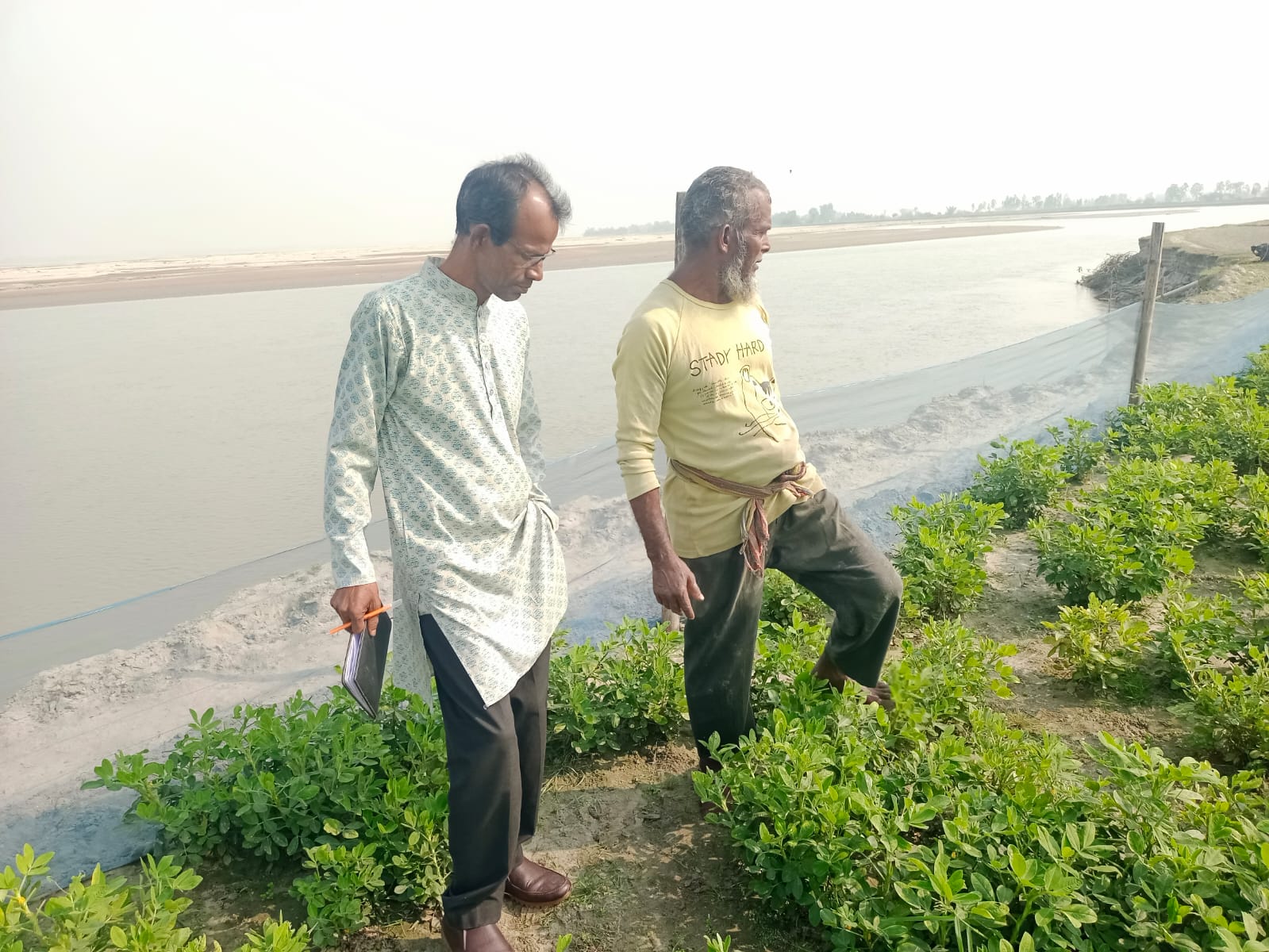 তিস্তার জেগে উঠা চরে বেলে-দোআঁশ মাটিতে  লাভ জনক বীঁজ বাদাম চাষের সম্ভাবনা উজ্জ্বল